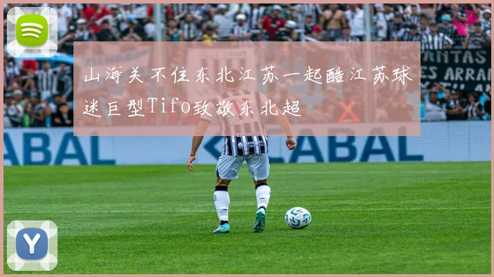 山海关不住东北江苏一起酷江苏球迷巨型Tifo致敬东北超
